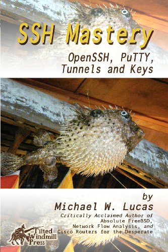 Beispielbild fr SSH Mastery : OpenSSH, PuTTY, Tunnels and Keys zum Verkauf von Better World Books