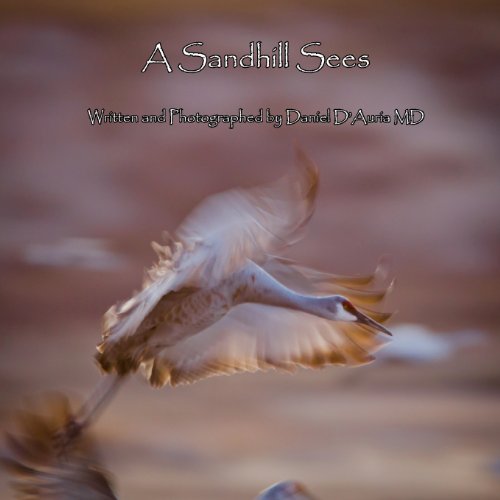 Stock image for A Sandhill Sees for sale by Revaluation Books