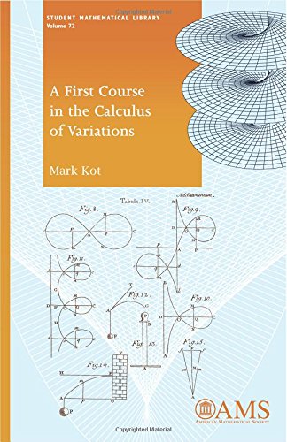 Imagen de archivo de A First Course in the Calculus of Variations a la venta por Book Booth