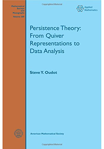 9781470425456: Persistence Theory: From Quiver Representations to Data Analysis (Mathematical Surveys and Monographs)