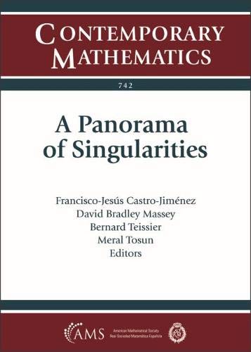 Stock image for A Panorama of Singularities Contemporary Mathematics for sale by PBShop.store US