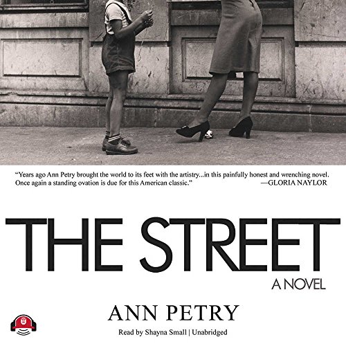 Imagen de archivo de The Street: A Novel (Library Edition) a la venta por The Yard Sale Store