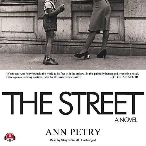 Stock image for The Street: A Novel (Library Edition) for sale by The Yard Sale Store