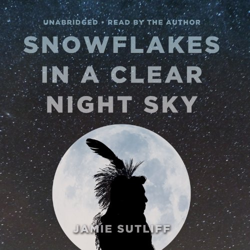 Stock image for Snowflakes in a Clear Night Sky for sale by The Yard Sale Store