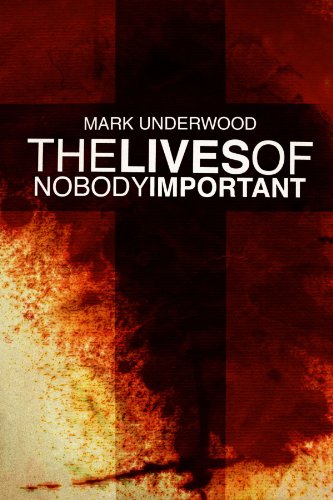 Imagen de archivo de The Lives Of Nobody Important a la venta por WorldofBooks