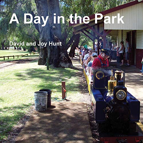 A Day in the Park (9781471030253) by Hunt, David