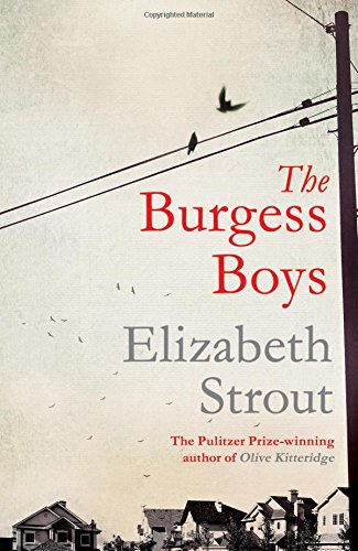 9781471127373: The Burgess Boys