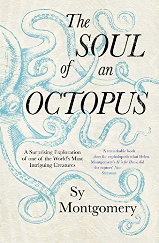 9781471146756: The soul of an octopus: A Surprising Exploration Into the Wonder of Consciousness