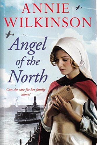 Beispielbild fr Angel of the North zum Verkauf von WorldofBooks