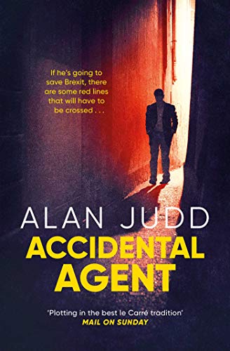 Stock image for Accidental Agent for sale by Blackwell's