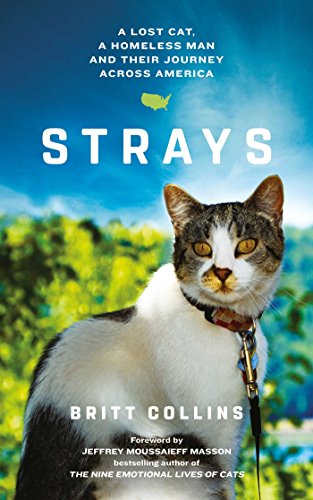 Stock image for Strays for sale by ThriftBooks-Dallas