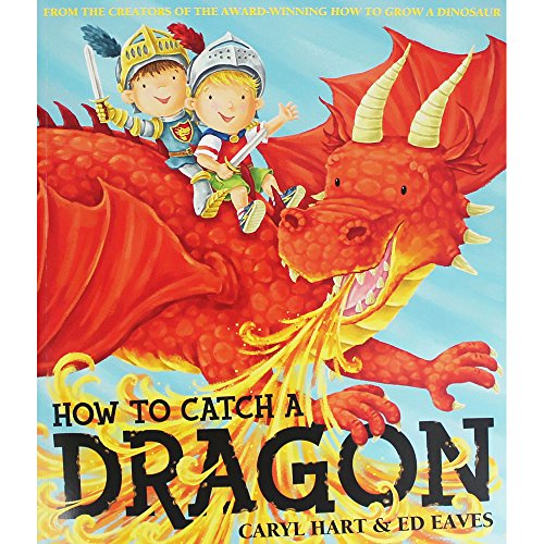 Stock image for How to Catch a Dragon Pa for sale by Better World Books