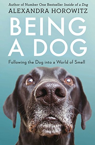 Beispielbild fr Being a Dog: Following the Dog into a World of Smell zum Verkauf von WorldofBooks