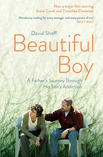 Imagen de archivo de Beautiful Boy a la venta por ThriftBooks-Dallas