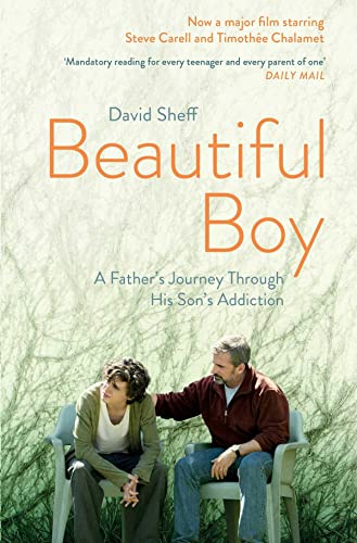 9781471177934: Beautiful Boy: A Father's Journey Through His Son's Addiction