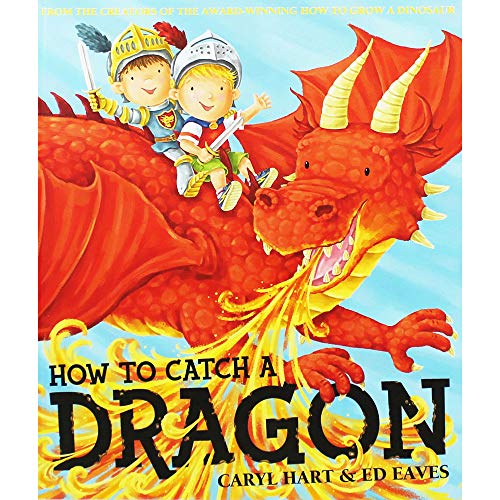 Imagen de archivo de HOW TO CATCH A DRAGON PA a la venta por WorldofBooks