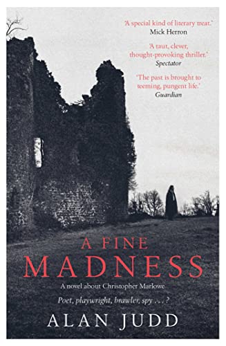 Beispielbild fr A Fine Madness: Sunday Times 'Historical Fiction Book of the Month' zum Verkauf von AwesomeBooks