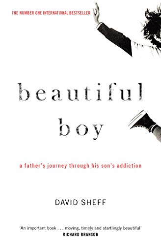 9781471182204: Beautiful Boy: A Father's Journey Through His Son's Addiction