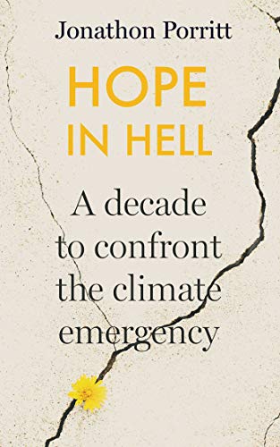 Beispielbild fr Hope in Hell: A decade to confront the climate emergency zum Verkauf von WorldofBooks