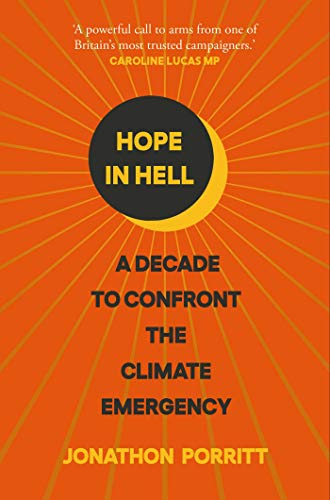 Stock image for Hope in Hell: A decade to confront the climate emergency for sale by Chiron Media