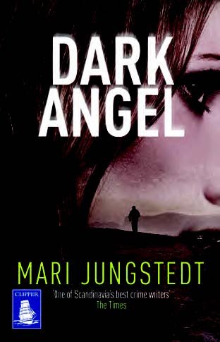 9781471238550: Dark Angel (Large Print Edition)
