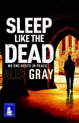 Stock image for Sleep Like The Dead (Large Print Edition) for sale by Bahamut Media