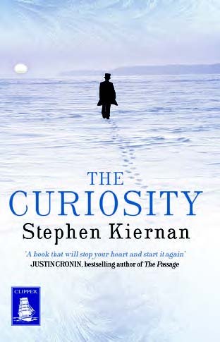 Imagen de archivo de The Curiosity (Large Print Edition) a la venta por AwesomeBooks
