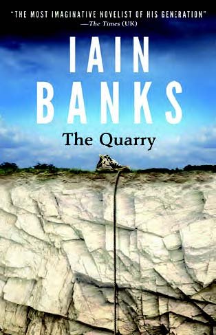 9781471246678: The Quarry (Large Print Edition)