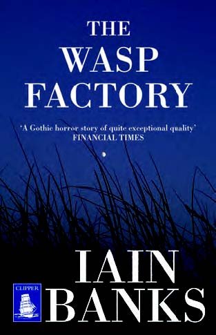 Stock image for The Wasp Factory for sale by Better World Books Ltd