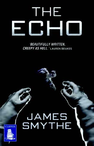 9781471256837: The Echo (Large Print Edition)