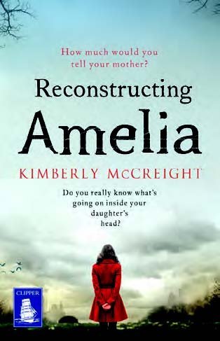 Stock image for Reconstructing Amelia (Large Print Edition) for sale by Goldstone Books