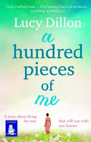Beispielbild fr A Hundred Pieces of Me (Large Print Edition) zum Verkauf von WorldofBooks