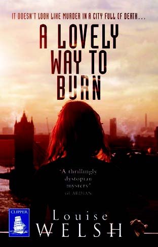 9781471281785: A Lovely Way to Burn (Large Print Edition)