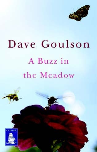 Stock image for A Buzz in the Meadow (Large Print Edition) for sale by WorldofBooks