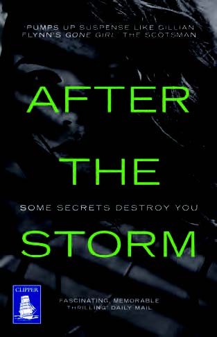 Imagen de archivo de After the Storm a la venta por Better World Books Ltd