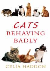 9781471323256: Cats Behaving Badly