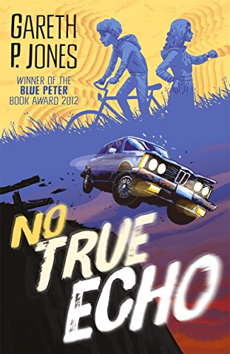 Stock image for No True Echo for sale by WorldofBooks
