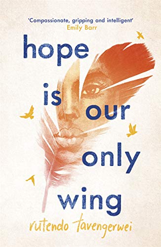 Imagen de archivo de Hope is our Only Wing a la venta por WorldofBooks