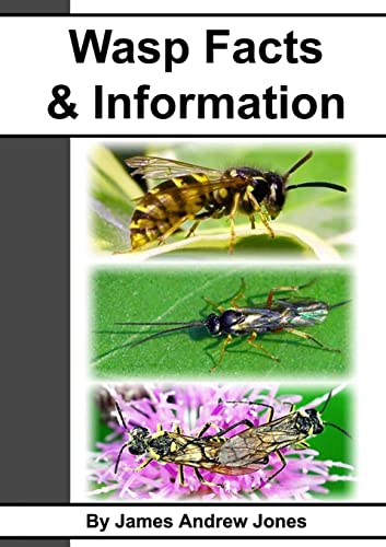 9781471717208: Wasp Facts & Information