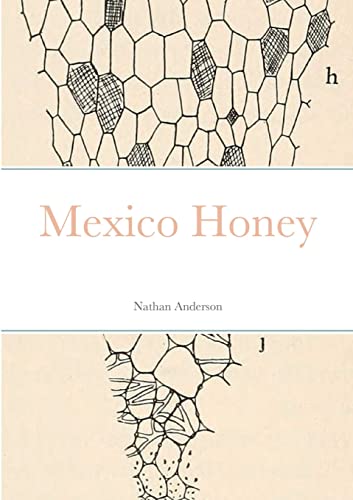 9781471748769: Mexico Honey