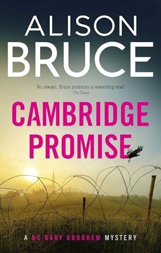 9781472112279: The Promise (Tom Thorne Novels)