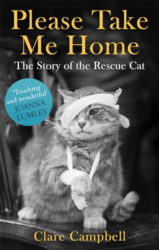 Imagen de archivo de Please Take Me Home: The Story of the Rescue Cat a la venta por WorldofBooks