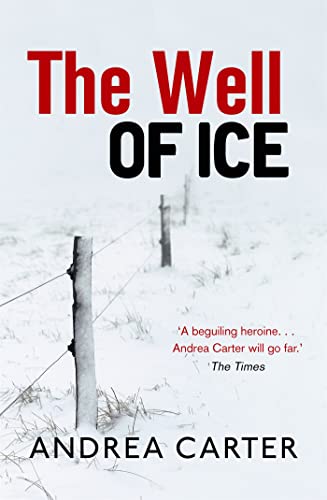 Beispielbild fr The Well of Ice: Andrea Carter (Inishowen Mysteries) zum Verkauf von WorldofBooks