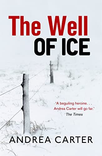 Beispielbild fr The Well of Ice zum Verkauf von Blackwell's