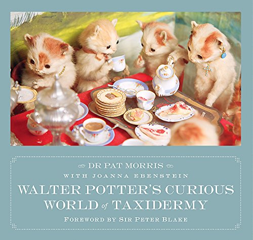 Imagen de archivo de Walter Potter's Curious World of Taxidermy a la venta por Blackwell's