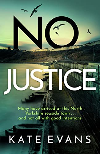 Beispielbild fr No Justice (DC Donna Morris) zum Verkauf von WorldofBooks