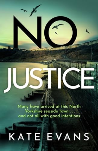 Beispielbild fr No Justice (DC Donna Morris) zum Verkauf von WeBuyBooks