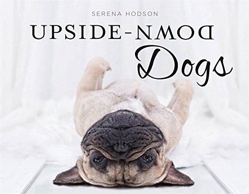 Imagen de archivo de Upside-Down Dogs a la venta por SecondSale