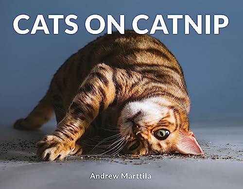 Imagen de archivo de Cats on Catnip a la venta por Blackwell's
