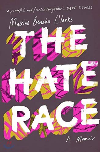 Imagen de archivo de The Hate Race a la venta por AwesomeBooks